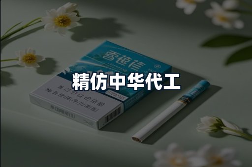 精仿中华代工
